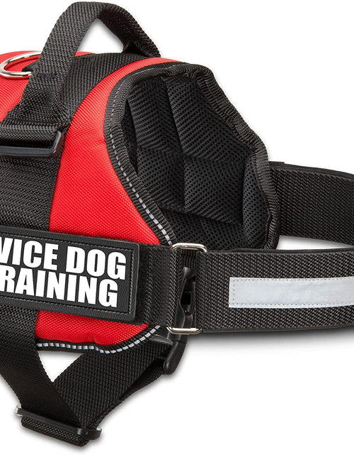 Load image into Gallery viewer, Service Dog in Training Vest with Hook and Loop Straps and Handle - Harnesses in Sizes from XXS to XXL - Service Dog Vest Harness Features Reflective Patch and Comfortable Mesh Design
