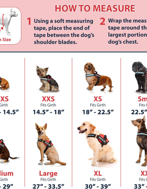 Load image into Gallery viewer, Service Dog in Training Vest with Hook and Loop Straps and Handle - Harnesses in Sizes from XXS to XXL - Service Dog Vest Harness Features Reflective Patch and Comfortable Mesh Design
